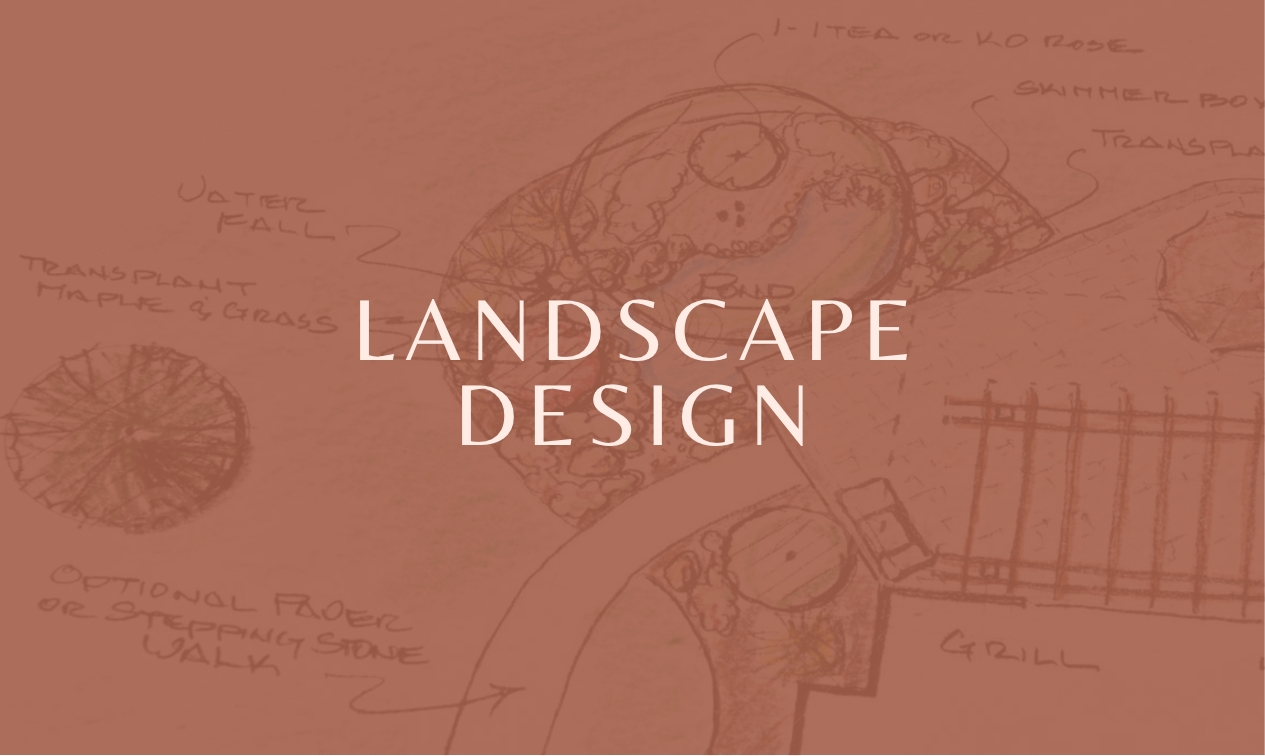 charlotte garden designer and landscape planner