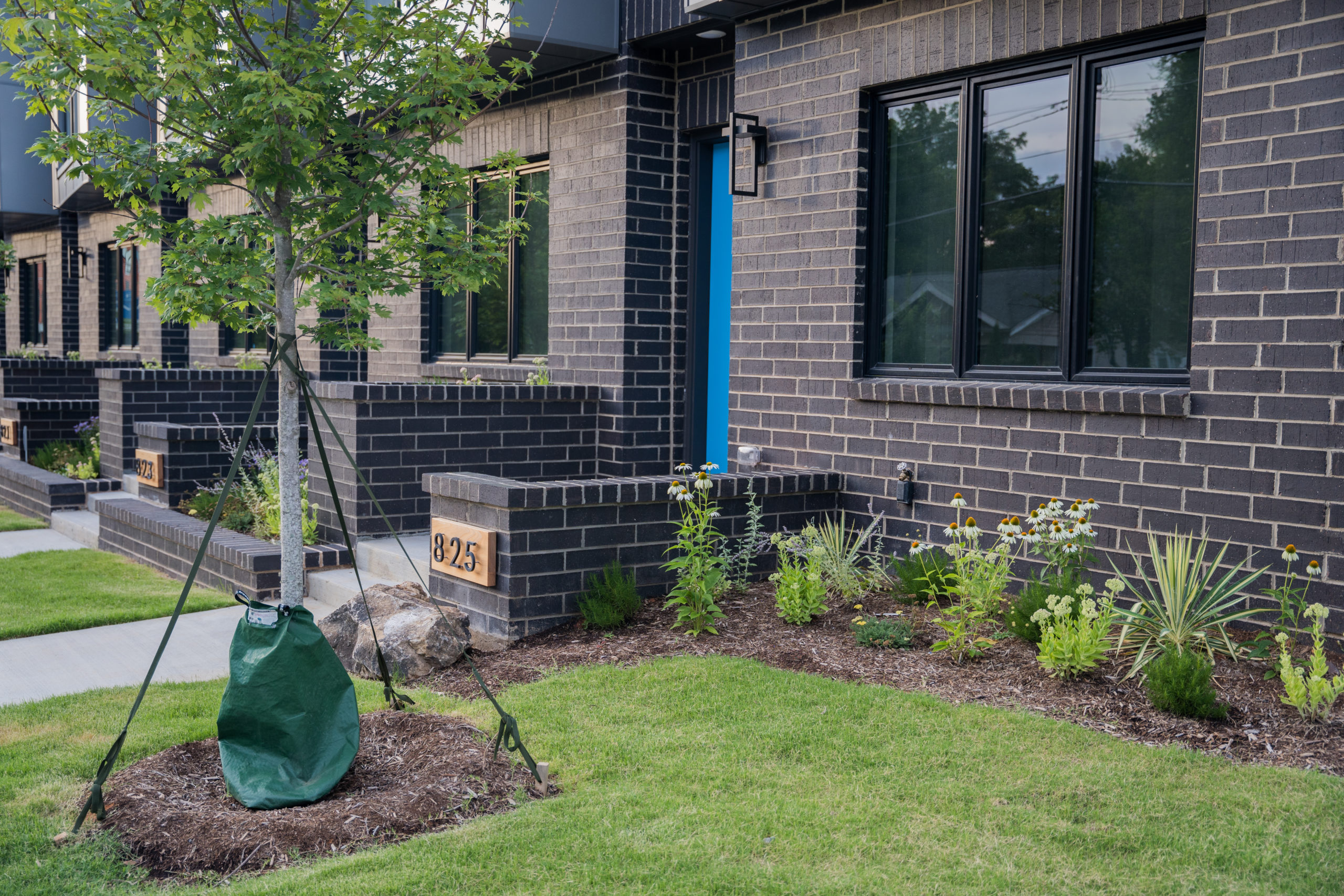 Charlotte Plant Care Services | Belladonna Plant Care